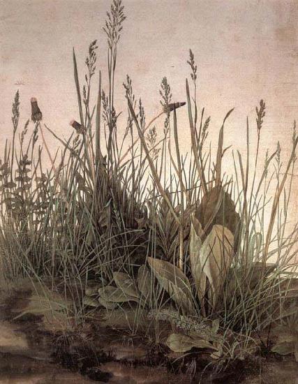 Albrecht Durer The Large Turf China oil painting art